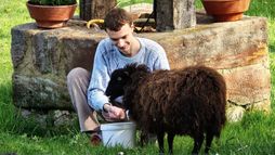 Après la drogue, offrir une seconde chance