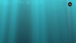 L'eau gazeuse cure divine de la Grèce antique