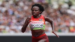 Maratón Valencia Trinidad Alfonso Zurich