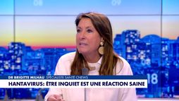La chronique santé : «Hantavirus : être inquiet est une relation saine»