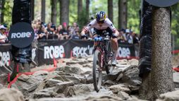 Nove Mesto | XCC