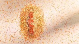 Je mordrai la poussière des étoiles