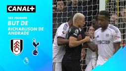 Le but de Richarlison de Andrade contre Fulham (66')