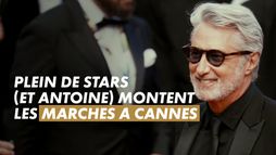 Sur le tapis rouge de Cannes 2026 : Antoine de Caunes, Pedro Almodovar, JoeyStarr...