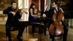 Boris Pergamenschikow, Elena Bashkirova, Maxim Vengerov - Brahms: Trio avec piano n° 3