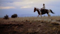 La bataille de Little Bighorn