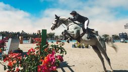 Riyad | Saut d'obstacles