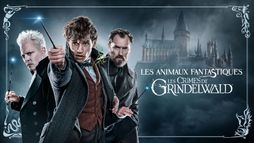 Les animaux fantastiques - Les crimes de Grindelwald