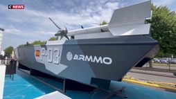 Détroit d’Ormuz : le drone naval, futur outil de sécurisation des zones sensibles ?