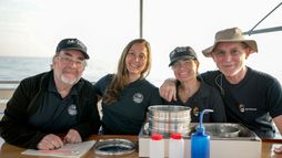 Plastique et vie marine : Une cohabitation à la dérive