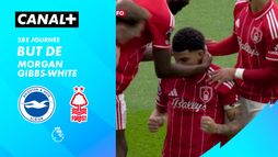 Le but de Morgan Gibbs-White contre Brighton (13')