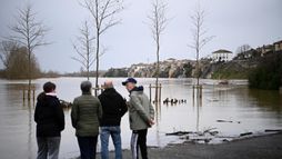 Les enquêtes de la rédac