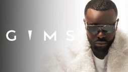 GIMS