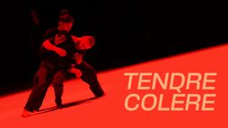 Suresnes cité danses, Tendre colère