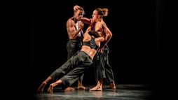 Saint-Saëns Meets Havana