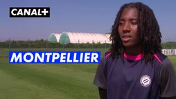 Un jour, un club : Montpellier HSC