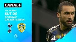 Le but de Dominic Calvert-Lewin contre Tottenham Hotspur (74')