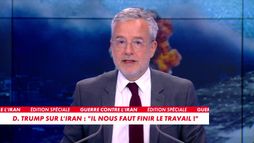 Le billet d'humeur de Romain Desarbres : «D. Trump sur l'Iran : "Il nous faut finir le travail"»