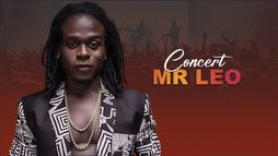 TRACE LIVE MR LEO