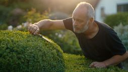 Le jardinier, le bouddhiste et l'espion