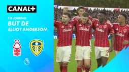 Le but de Elliot Anderson contre Leeds (91')