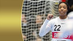 Krim OTP Group Mercator - Brest Bretagne Handball