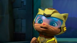 La Pat' Patrouille : Les Super Chats