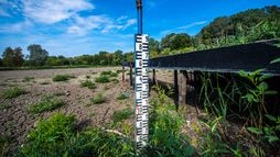 La Hongrie sous pression climatique