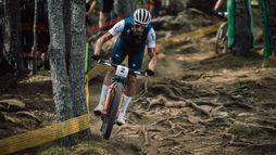 Championnats du monde | Cross-country short track Elite (H)