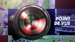 Point de vue - 15 Mars 2026