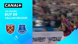 Le but de Callum Wilson contre Everton (92')