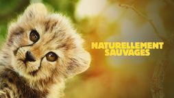 Naturellement sauvages