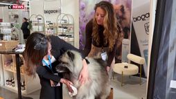 Expozoo Paris Animal Show 2026 : le bien-être animal à l'honneur