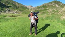 Pyrénées - Vivre avec l'ours