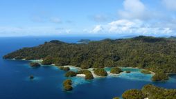 The Last Paradises - Le sanctuaire Sasi de Papouasie