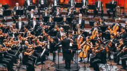 Danish National Symphony Orchestra, Fabio Luisi - Nielsen : Symphonie n°1