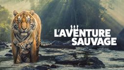 L’aventure sauvage