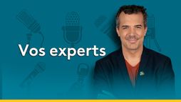 Vos experts