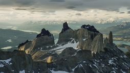 Dans le triangle des pumas