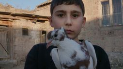 Un garçon, une terre, la guerre