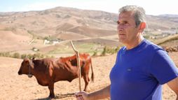 La Sicile en proie à la sécheresse