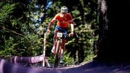 Championnats du monde | Cross country olympique Elite (H)