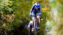 Lokeren | Course élite (F)