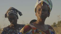 La Lumière des femmes