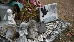 Affaire suivante, faits divers