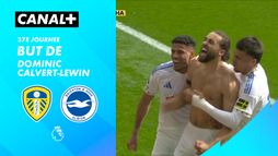 Le but de Dominic Calvert-Lewin contre Brighton (96')