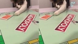 Les véritables origines du Monopoly