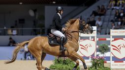 Madrid | Saut d'obstacles