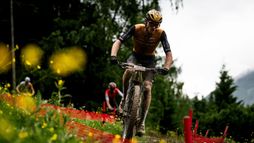 Championnats de France | Cross-country olympique (H/F)