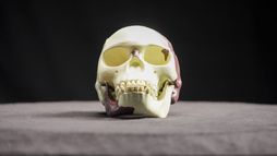 Fraudes et mensonges scientifiques